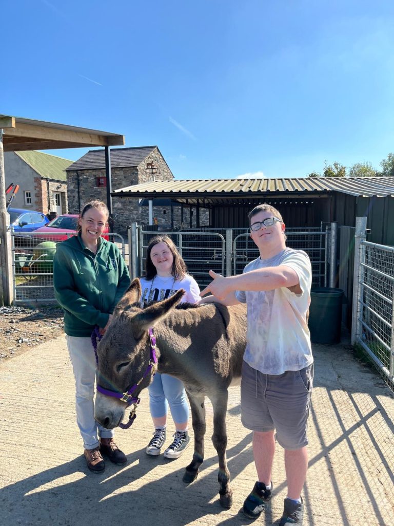 That'll do Donkey
